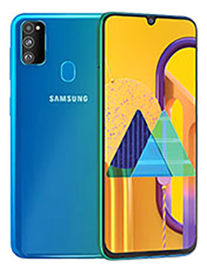 Samsung Galaxy M30s M307F